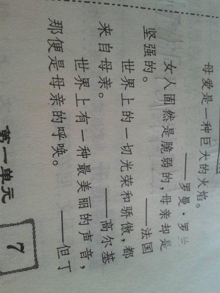 母爱报价
