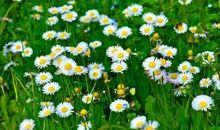 老婆回娘家开心的句子 回娘家开心的朋友圈说说句子