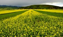 几个好朋友耍的开心的句子 朋友相聚很开心的短句