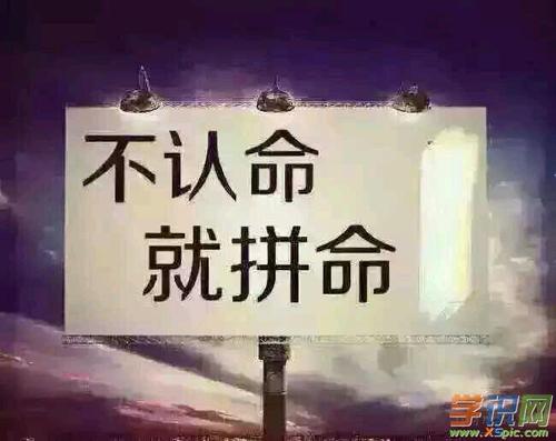 分享成功的报价