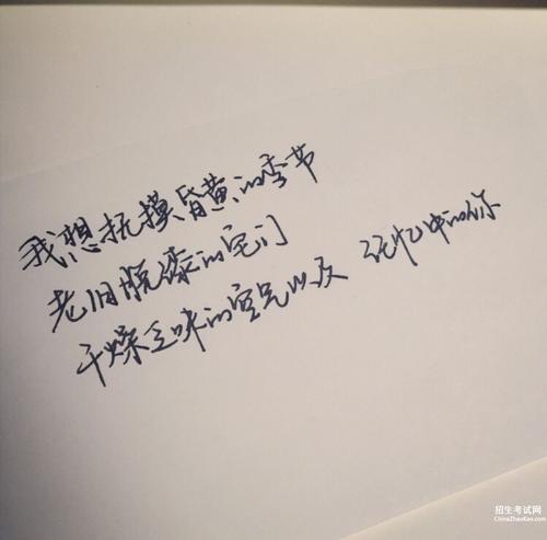 爱情经文