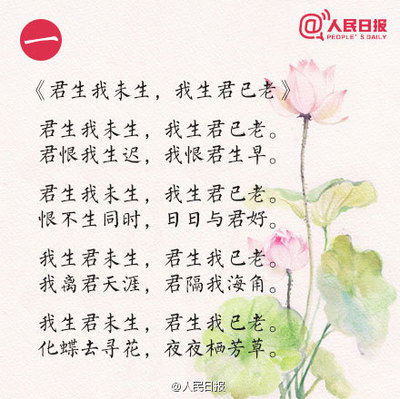 爱情经文