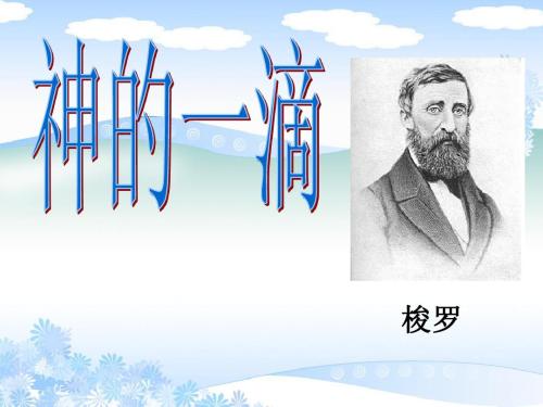 梭罗语录