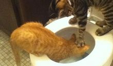 超搞笑空间说说