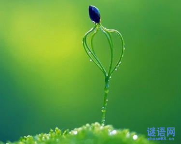 关于热爱生活的名言