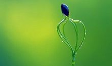 热爱生命的名言警句