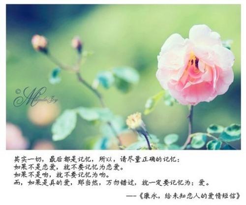 爱短信