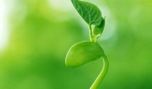 生命可贵的名人名言