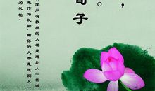 荀子名言名句大全