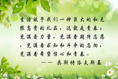 青年行情