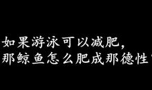 有哲理的爱情说说