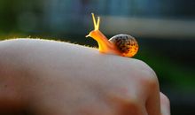 2016最新心情短语