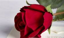 七夕情人节短信息