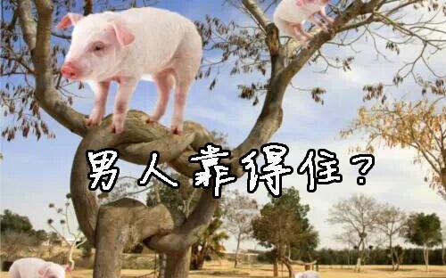 最有趣的情绪短语