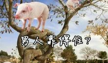 最搞笑说说心情短语