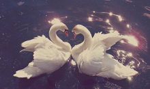 qq微博心情签名