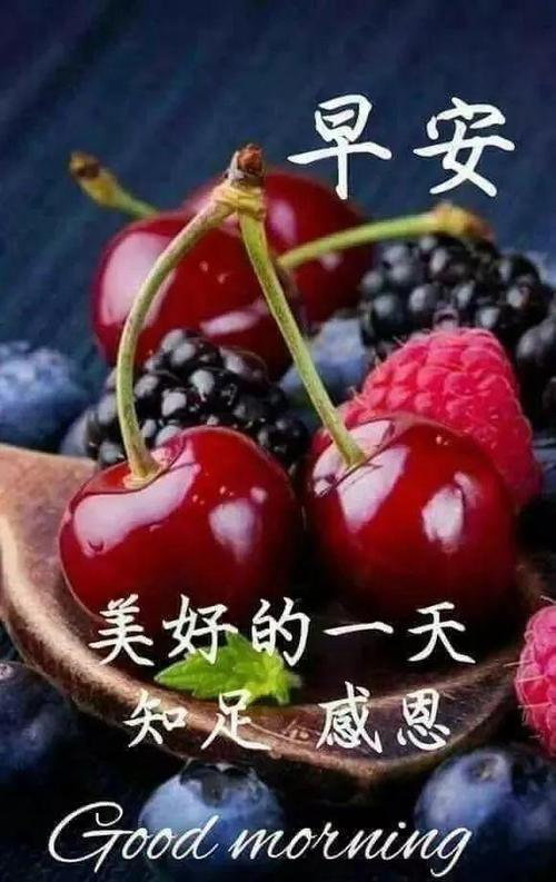 早上祝福留言