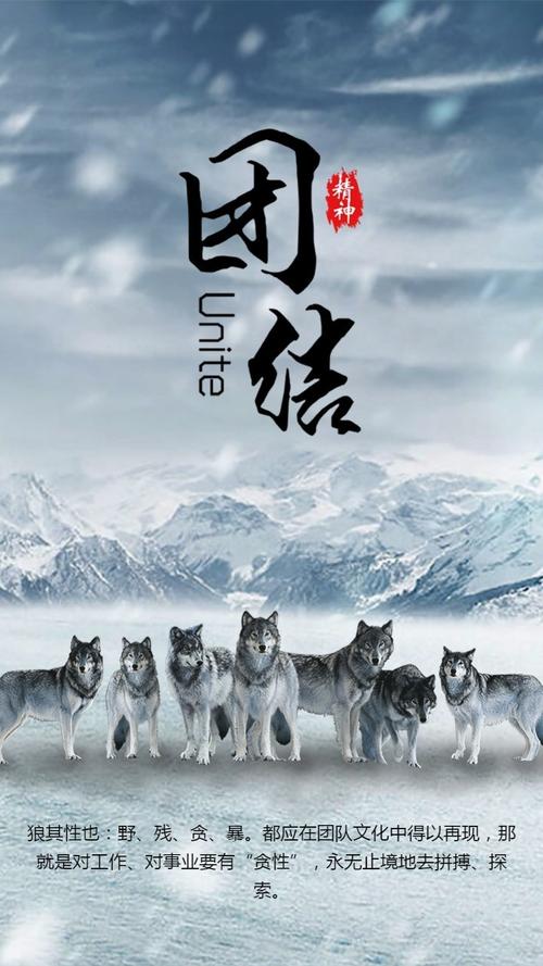 狼励志名言