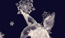 经典谎言个性签名