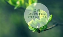 qq人生个性签名