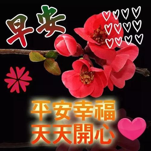 爱心的话