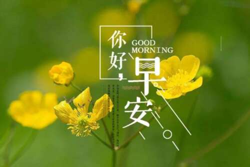 生病的问候