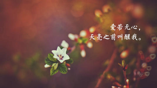 QQ签名经典句子写作人生