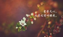 qq签名经典语句写人生