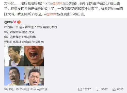 有趣的爱短信