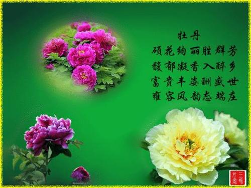 朋友的祝福