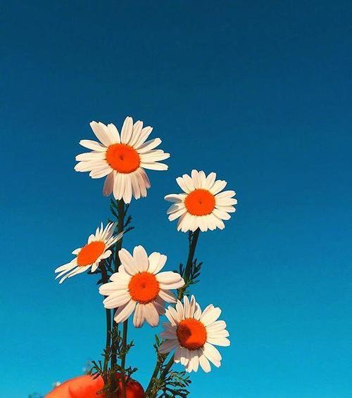 青年节祝短信