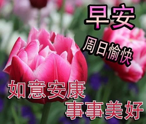 经典周末祝短信