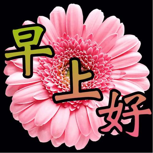 精美的问候