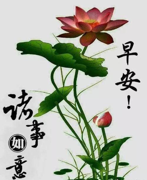 短信问候