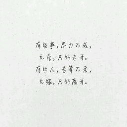 网络经典讲座