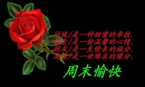 多情的消息祝福