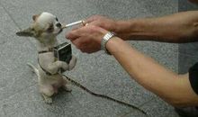 超级搞笑qq说说