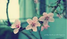 给女朋友的早安短信