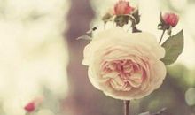 经典个性励志签名