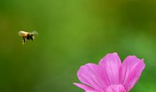 今天好心情短语