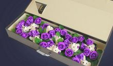 三八节教师短信