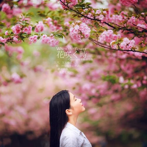 如果那个女孩感动