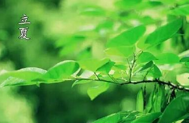 丽霞短信