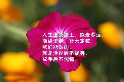 谈论情绪短语