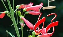 温馨祝福短信