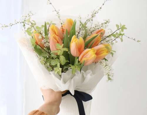 5月4日青年节的问候