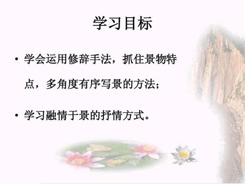 抒情句子