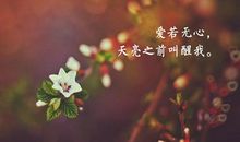 2017最拽个性签名