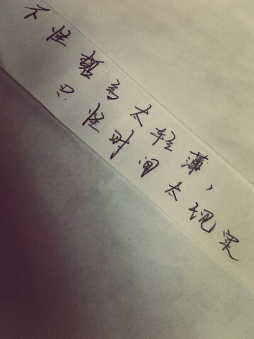 抒情诗句