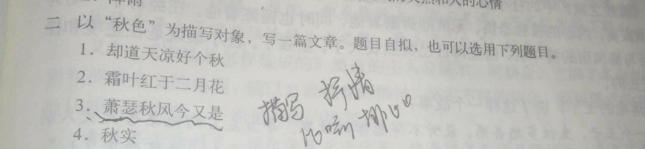 歌词散文